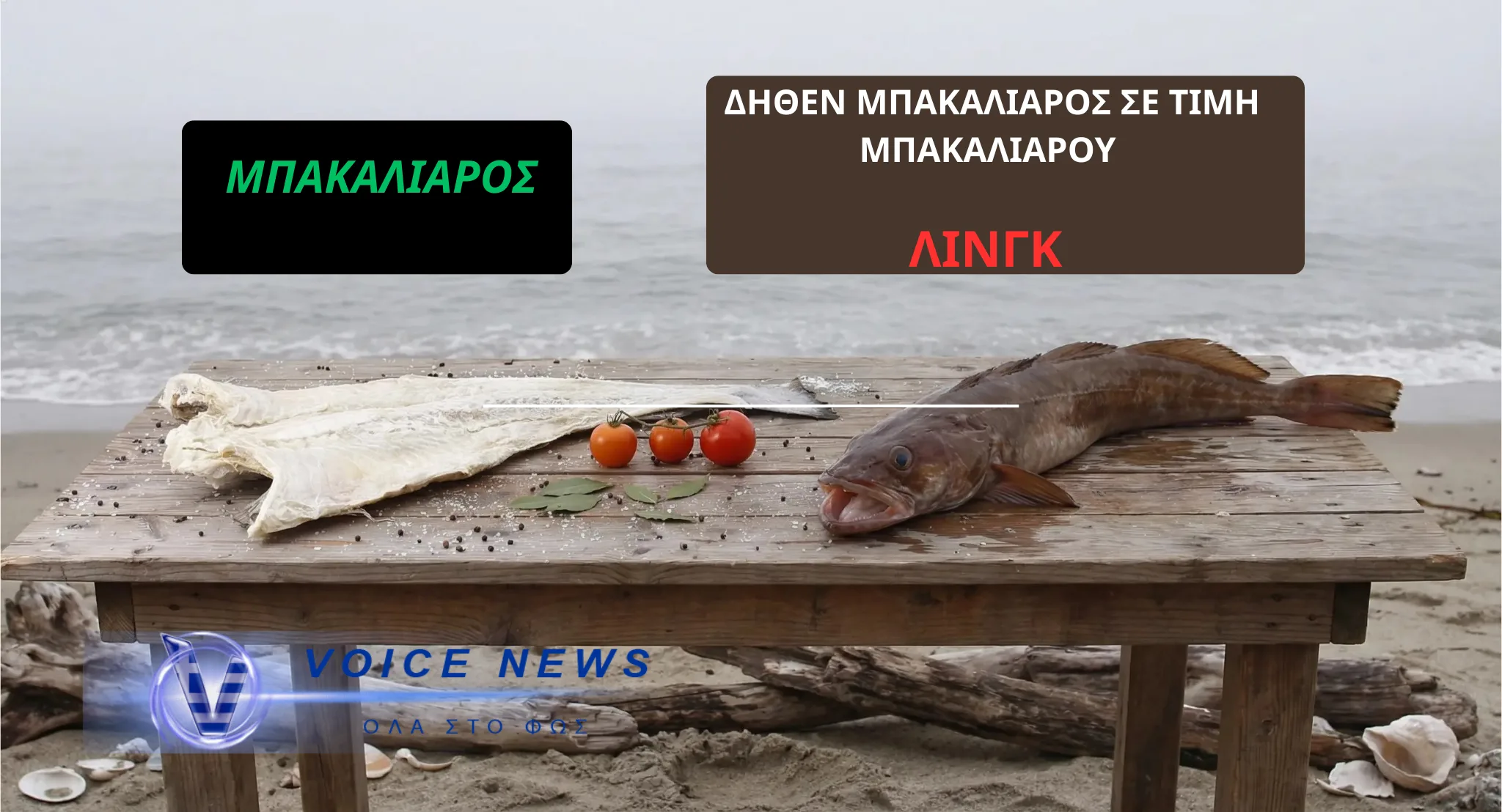ΜΠΑΚΑΛΙΑΡΟΣ Η ..ΛΙΝΓΚ; ΤΟ «ΚΟΛΠΟ» ΠΟΥ ΑΔΕΙΑΖΕΙ ΤΗΝ ΤΣΕΠΗ ΤΟΥ ΚΑΤΑΝΑΛΩΤΗ