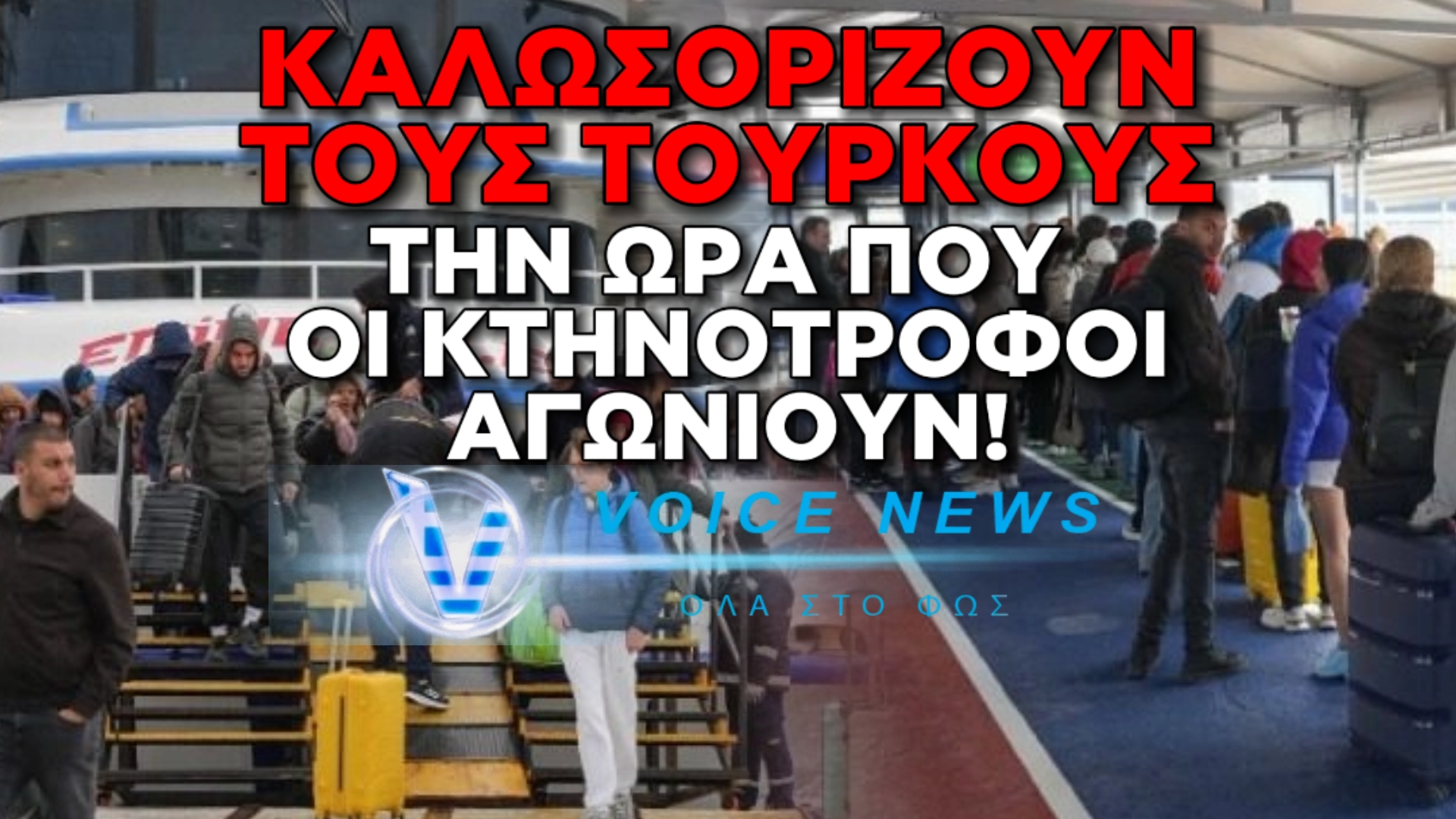 ΟΙ ΚΤΗΝΟΤΡΟΦΟΙ ΣΕ ΛΟΚΝΤΑΟΥΝ ΚΑΙ ΟΙ ΑΛΛΟΙ ΚΑΛΩΣΟΡΙΖΟΥΝ ΣΤΗ ΜΥΤΙΛΗΝΗ ΤΟΥΣ ΤΟΥΡΚΟΥΣ ΓΙΑ ΤΟ ΜΠΑΙΡΑΜΙ. ΑΥΤΟΙ ΕΙΜΑΣΤΕ!