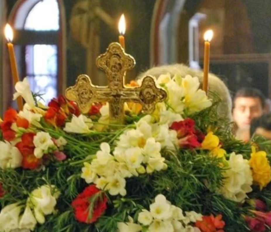 viber_image_2026-03-14_11-46-07-762