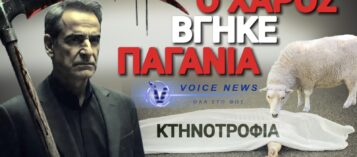 Ο ΘΑΝΑΤΟΣ ΤΟΥ ΚΤΗΝΟΤΡΟΦΟΥ ΣΕ ΣΚΗΝΟΘΕΣΙΑ ΜΗΤΣΟΤΑΚΗ