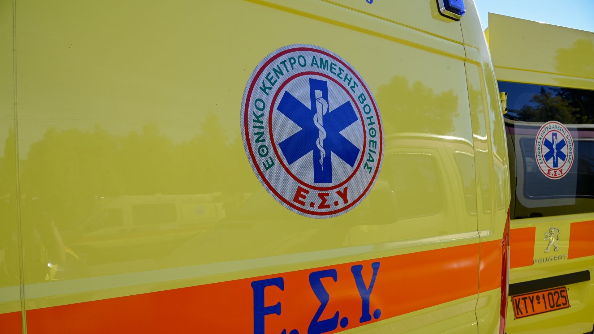 Σοκ σε Ελληνικό Νησί: 58χρονη ανακάλυψε παράσιτα προβάτων στη μύτη της