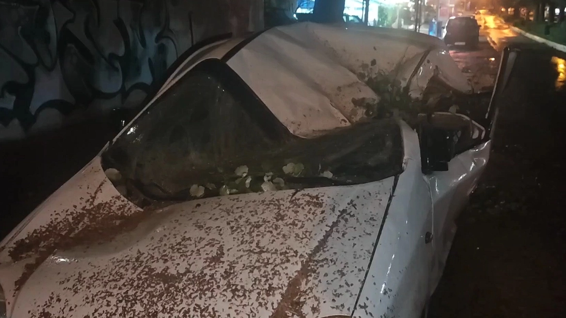 Κακοκαιρία: δέντρο ισοπέδωσε αυτοκίνητο στην Hλιούπολη