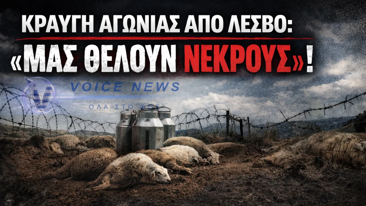ΚΡΑΥΓΗ ΑΓΩΝΙΑΣ ΑΠΟ ΛΕΣΒΟ: «ΜΑΣ ΘΕΛΟΥΝ ΝΕΚΡΟΥΣ»!