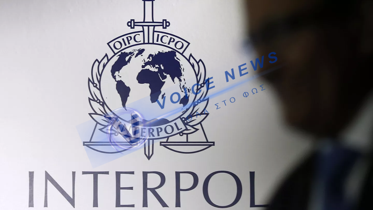 ΜΑΚΑΒΡΙΟ ΕΥΡΗΜΑ ΣΤΗΝ ΚΑΡΑΪΒΙΚΗ: Η φρίκη που ξεπερνά κάθε φαντασία – Βρέφη σε χαρτόκουτα και ομαδικοί τάφοι!