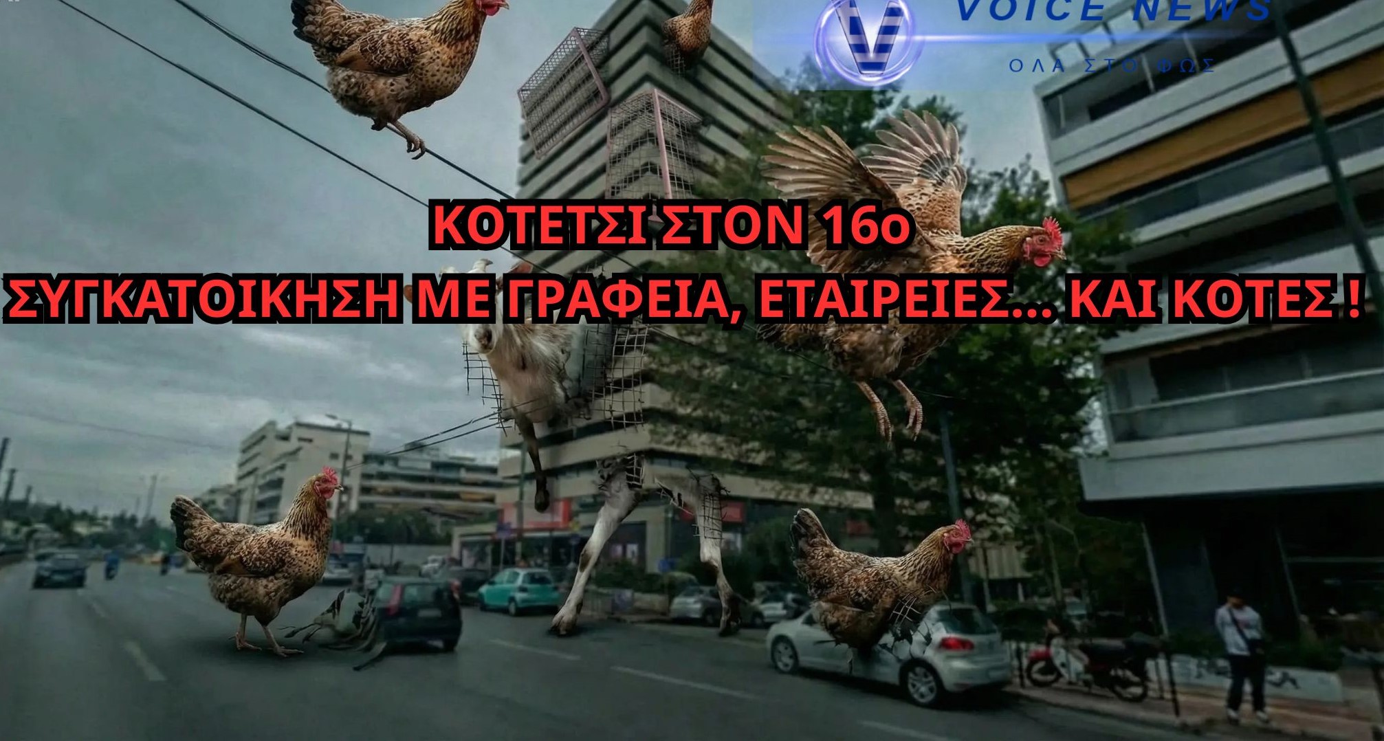 ΑΠΙΣΤΕΥΤΟ ΠΕΡΙΣΤΑΤΙΚΟ ΣΤΟΥΣ ΑΜΠΕΛΟΚΗΠΟΥΣ: ΚΟΤΕΤΣΙ ΣΕ ΠΟΛΥΚΑΤΟΙΚΙΑ ΜΕ ΓΡΑΦΕΙΑ ΕΤΑΙΡΕΙΩΝ ΚΑΙ ΔΗΜΟΣΙΩΝ ΔΟΜΩΝ (ΒΙΝΤΕΟ)