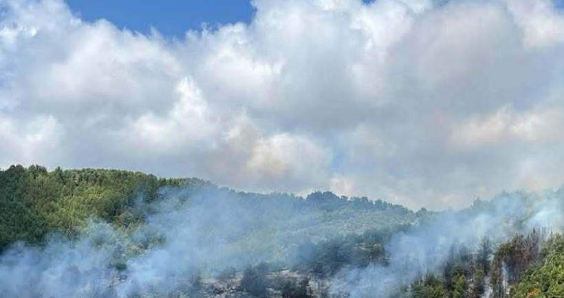 Θετικές εξελίξεις από το μέτωπο της Ηλείας: Χωρίς απειλή για οικισμούς η φωτιά στο Λέπρεο