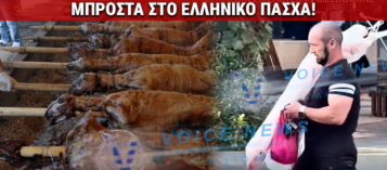 ΤΟ ΠΑΣΧΑ ΤΟΥ ΕΛΛΗΝΑ: ΚΟΙΤΑΖΑΝ ΤΟΥΣ ΕΛΛΗΝΕΣ ΣΤΗΝ ΜΕΛΒΟΥΡΝΗ ΜΕ ΤΑ ΑΡΝΙΑ ΣΤΟΥΣ ΩΜΟΥΣ ΚΑΙ ΠΑΡΑΜΙΛΟΥΣΑΝ