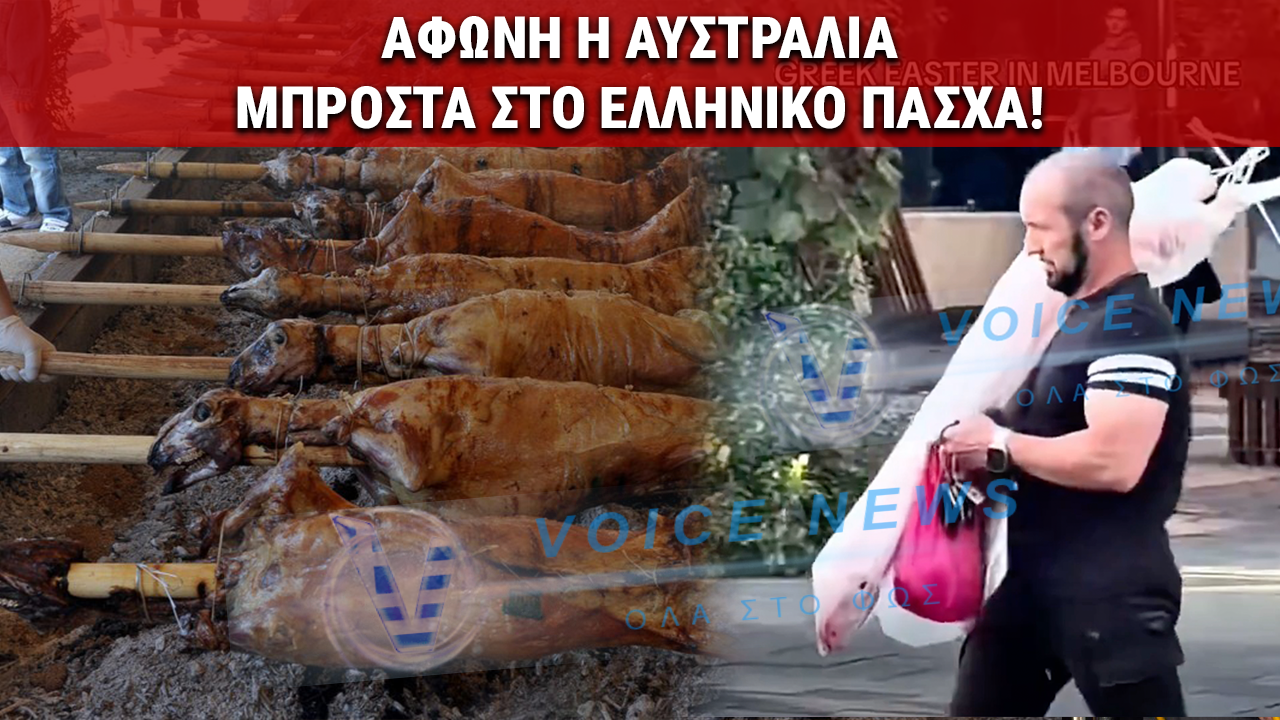 ΤΟ ΠΑΣΧΑ ΤΟΥ ΕΛΛΗΝΑ: ΚΟΙΤΑΖΑΝ ΤΟΥΣ ΕΛΛΗΝΕΣ ΣΤΗΝ ΜΕΛΒΟΥΡΝΗ ΜΕ ΤΑ ΑΡΝΙΑ ΣΤΟΥΣ ΩΜΟΥΣ ΚΑΙ ΠΑΡΑΜΙΛΟΥΣΑΝ