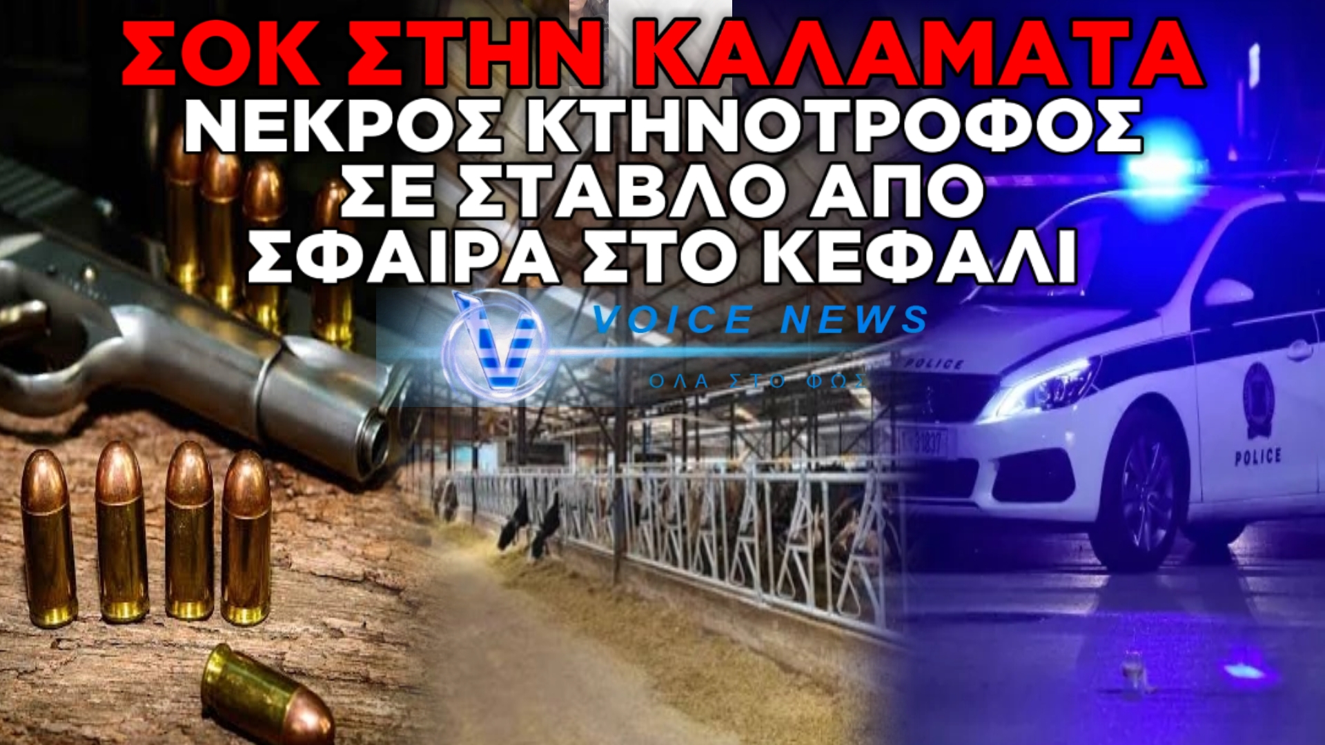 ΑΙΜΑΤΗΡΟ ΘΡΙΛΕΡ ΣΤΗΝ ΚΑΛΑΜΑΤΑ: ΝΕΚΡΟΣ ΚΤΗΝΟΤΡΟΦΟΣ ΜΕΣΑ ΣΕ ΣΤΑΒΛΟ – ΒΡΕΘΗΚΕ ΠΥΡΟΒΟΛΗΜΕΝΟΣ ΣΤΟ ΚΕΦΑΛΙ
