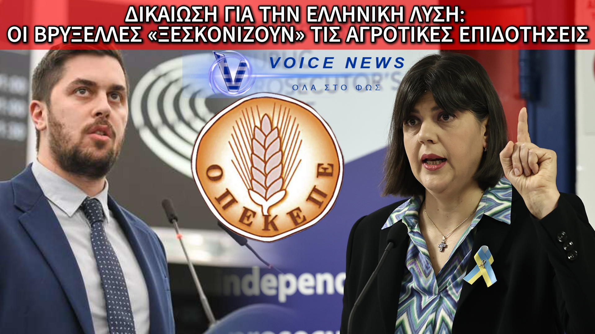 Ο ΦΡΑΓΚΟΣ ΤΟ ΠΕΤΥΧΕ: Η ΕΥΡΩΒΟΥΛΗ ΕΡΕΥΝΑ ΤΟ ΣΚΑΝΔΑΛΟ ΟΠΕΚΕΠΕ