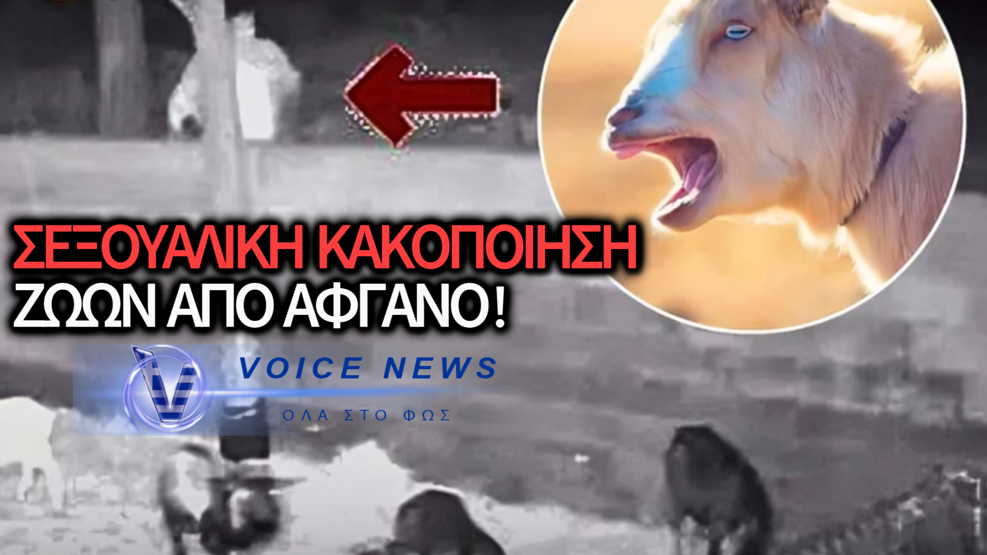 ΑΦΓΑΝΟΣ ΜΕΤΑΝΑΣΤΗΣ ΣΥΝΕΛΗΦΘΗ ΓΙΑΤΙ ΕΚΑΝΕ ΒΙΑΙΟ ΣΕΞ ΜΕ ΚΑΤΣΙΚΕΣ ΚΑΙ ΠΡΟΒΑΤΑ