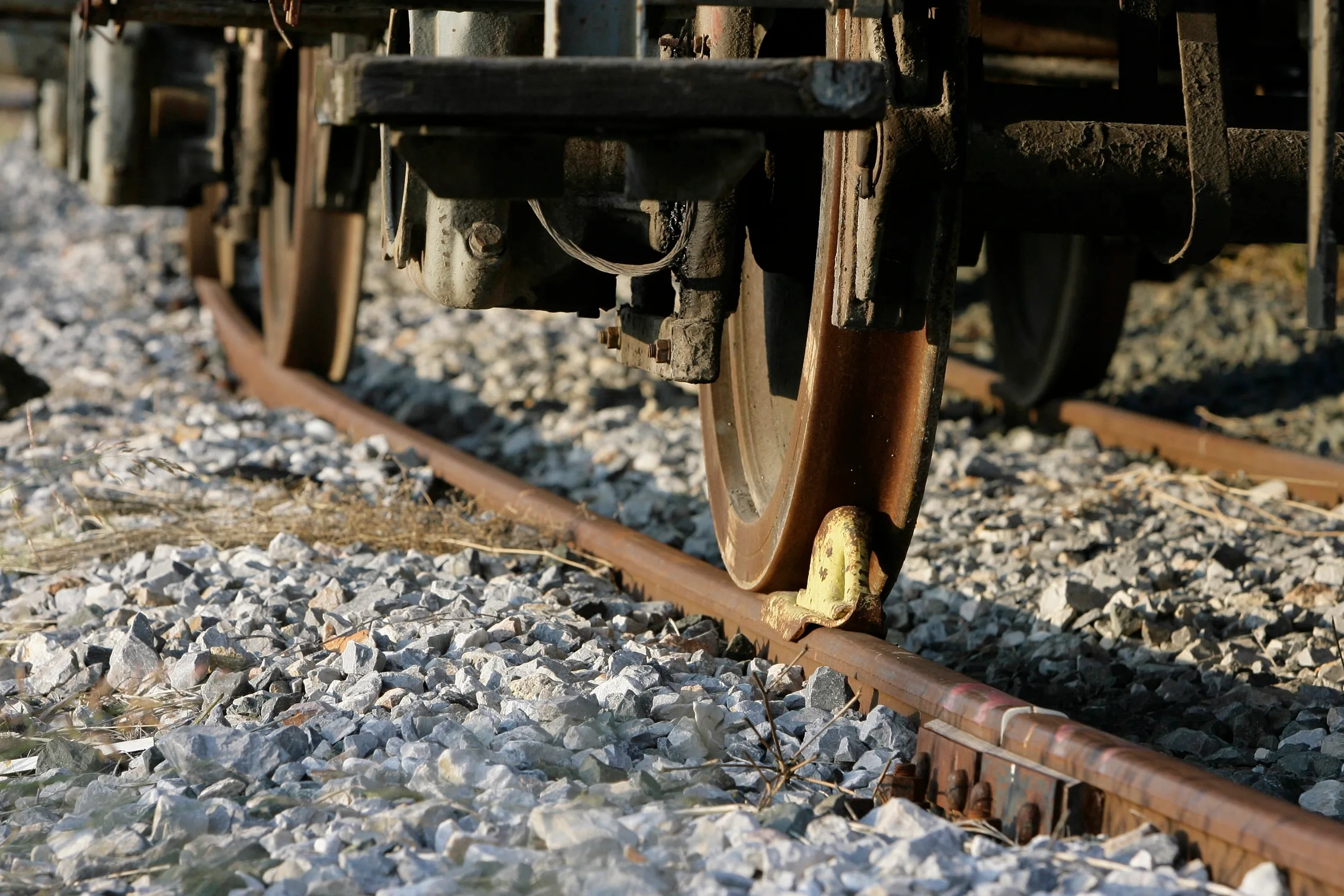 Hellenic Train: Προβλήματα στη γραμμή Θεσσαλονίκη–Έδεσσα από πτώση δέντρου στη Βέροια