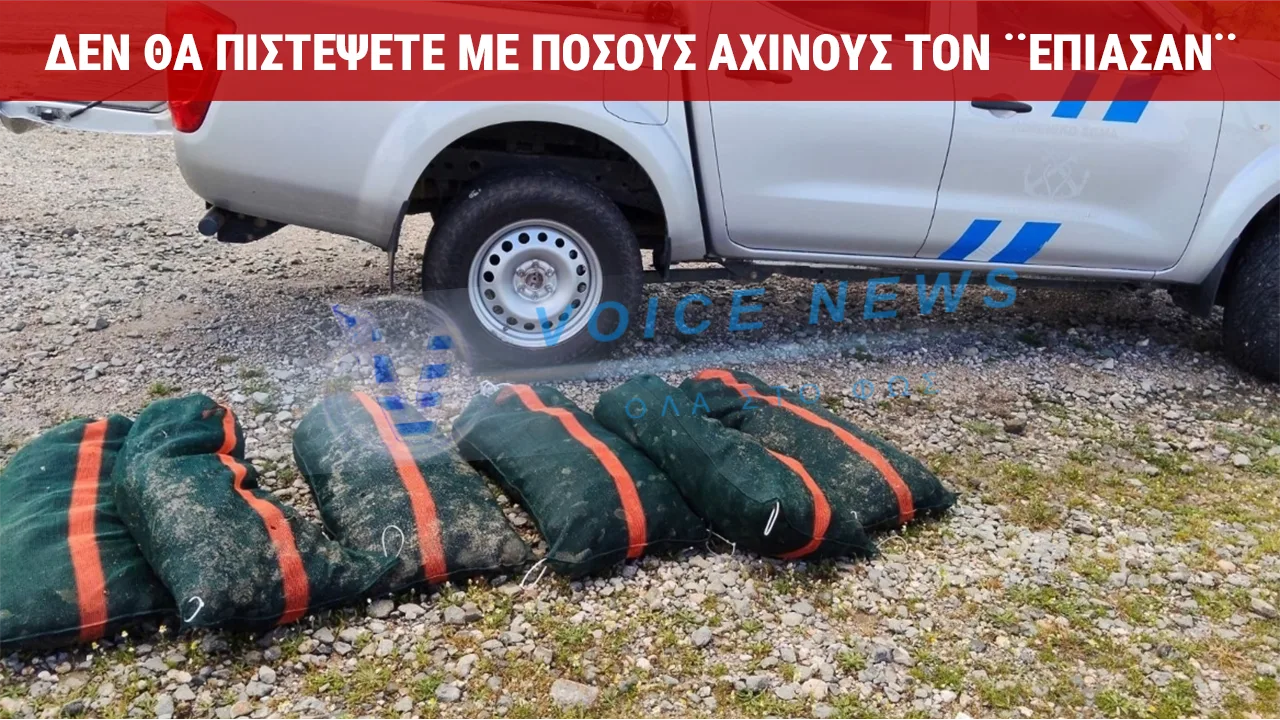ΕΠΙΑΣΑΝ 44ΧΡΟΝΟ ΜΕ 2.500 ΑΧΙΝΟΥΣ – ΤΟΥΣ ΠΕΤΑΞΑΝ ΞΑΝΑ ΣΤΗ ΘΑΛΑΣΣΑ!