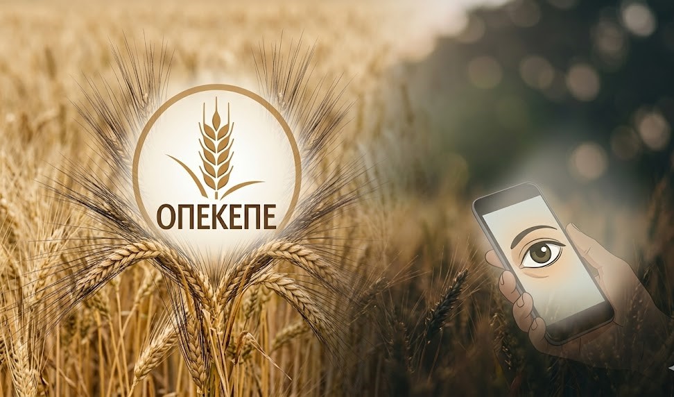 Πολιτικό «Μπλόκο» στις Εξεταστικές: Η Ώρα της Κρίσης για ΟΠΕΚΕΠΕ και Υποκλοπές