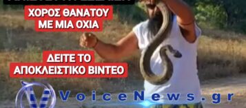 ΣΟΚΑΡΕΙ ΤΟ ΒΙΝΤΕΟ ΤΟΥ ΚΥΠΡΙΟΥ «ΓΗΤΕΥΤΗ ΤΩΝ ΦΙΔΙΩΝ»! ΔΕΙΤΕ ΤΙ ΕΠΑΘΕ!
