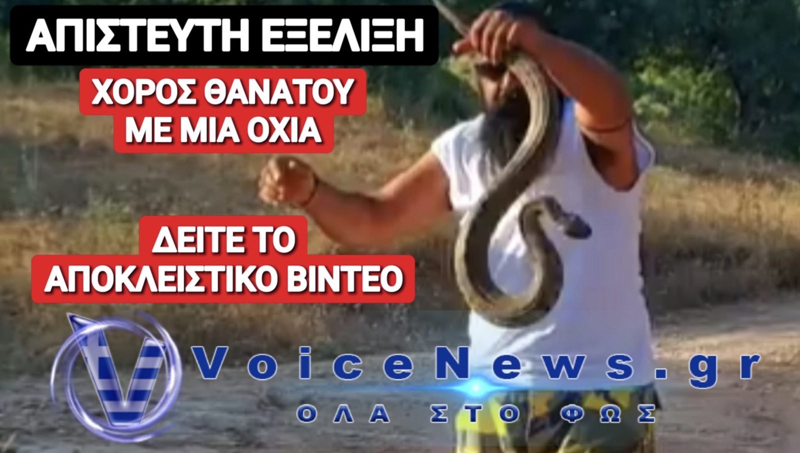 ΣΟΚΑΡΕΙ ΤΟ ΒΙΝΤΕΟ ΤΟΥ ΚΥΠΡΙΟΥ «ΓΗΤΕΥΤΗ ΤΩΝ ΦΙΔΙΩΝ»! ΔΕΙΤΕ ΤΙ ΕΠΑΘΕ!