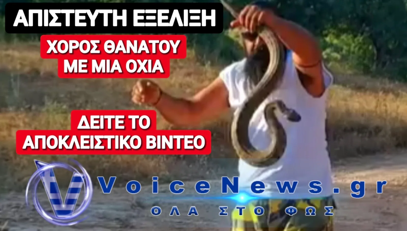ΣΟΚΑΡΕΙ ΤΟ ΒΙΝΤΕΟ ΤΟΥ ΚΥΠΡΙΟΥ «ΓΗΤΕΥΤΗ ΤΩΝ ΦΙΔΙΩΝ»! ΔΕΙΤΕ ΤΙ ΕΠΑΘΕ!