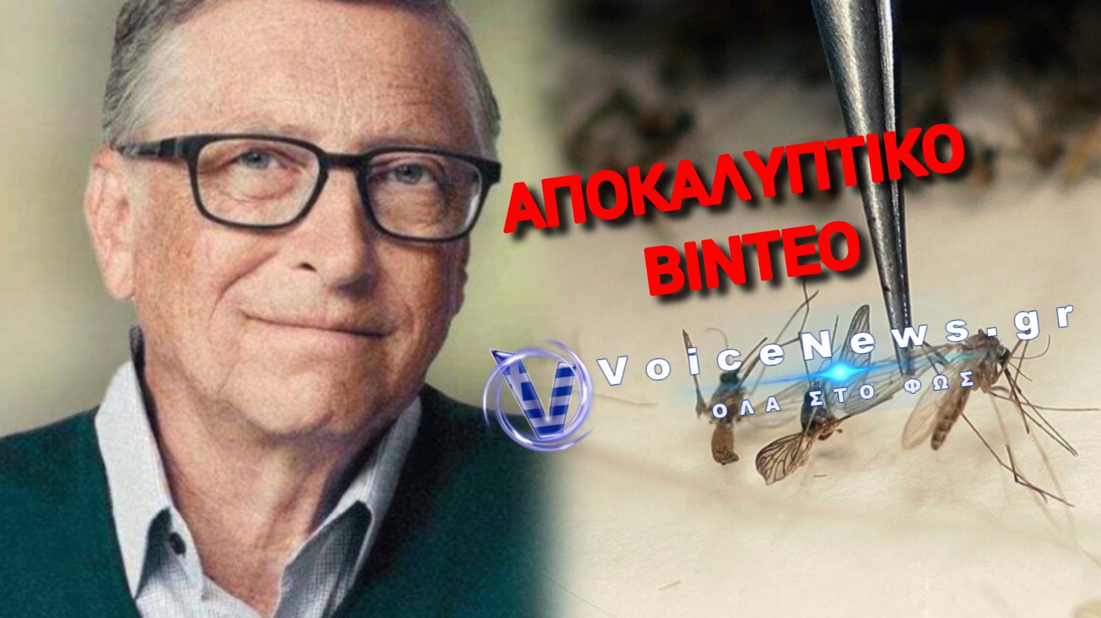 ΣΟΚ: Το εφιαλτικό «εργοστάσιο» κουνουπιών του Μπιλ Γκέιτς στην Κολομβία!