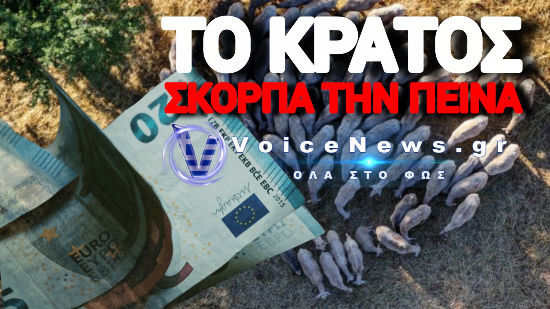 Η ΑΑΔΕ «ρημάζει» τους κτηνοτρόφους – Τους αρπάζει τις αποζημιώσεις της ευλογιάς