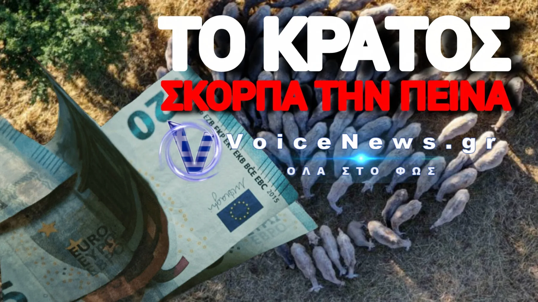 Η ΑΑΔΕ «ρημάζει» τους κτηνοτρόφους – Τους αρπάζει τις αποζημιώσεις της ευλογιάς