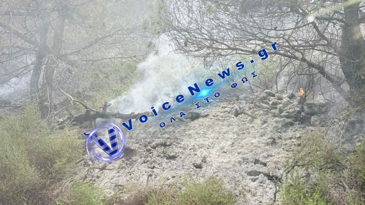 Κεραυνός άναψε φωτιά πάνω από την Αταλάντη – Πυροσβέστες περπάτησαν μέσα στο βουνό για να τη σβήσουν