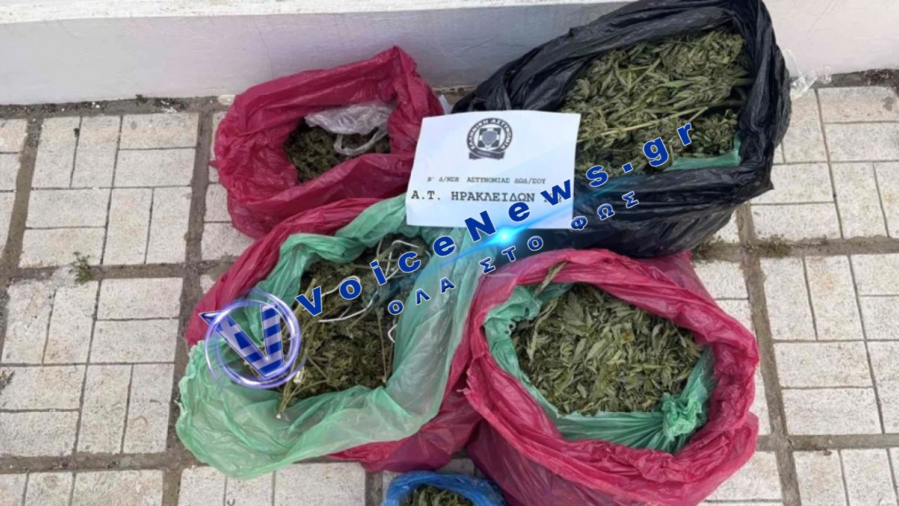 Κως: Σύλληψη 29χρονου για καλλιέργεια 78 δενδρυλλίων κάνναβης – Αναζητείται 35χρονος