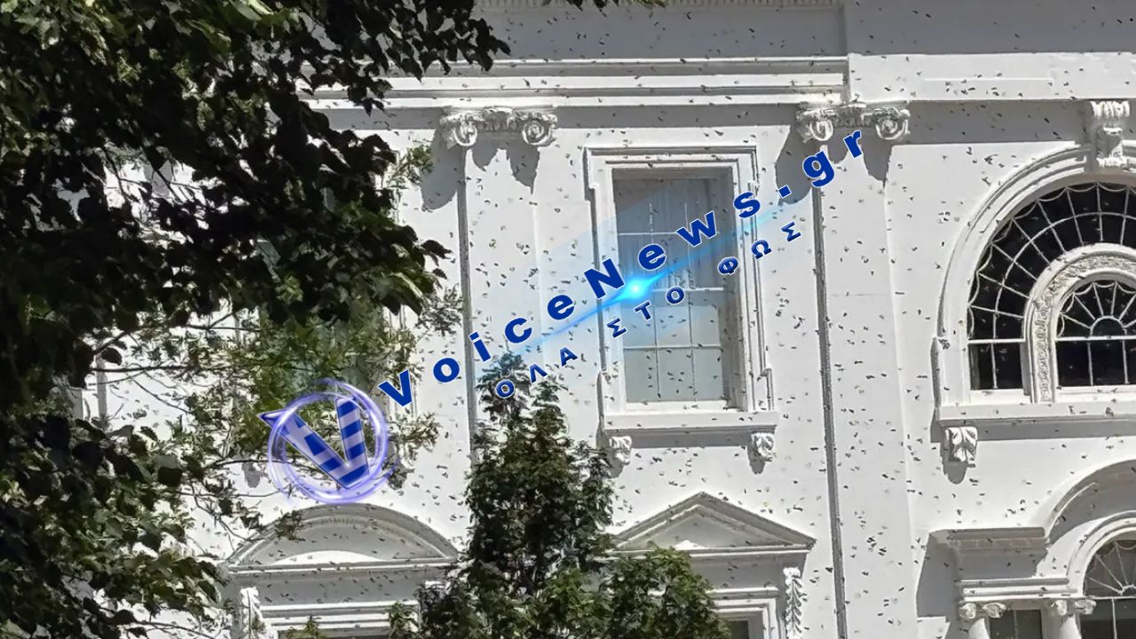 Σμήνος μελισσών προκάλεσε αναστάτωση στον Λευκό Οίκο – Viral οι εικόνες από το North Lawn
