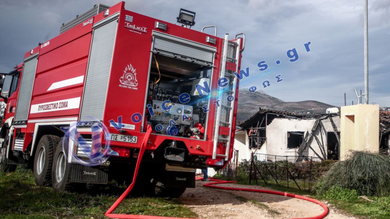 Φωτιά στην Ελεούσα Θεσσαλονίκης – Ισχυρές δυνάμεις της πυροσβεστικής στο σημείο