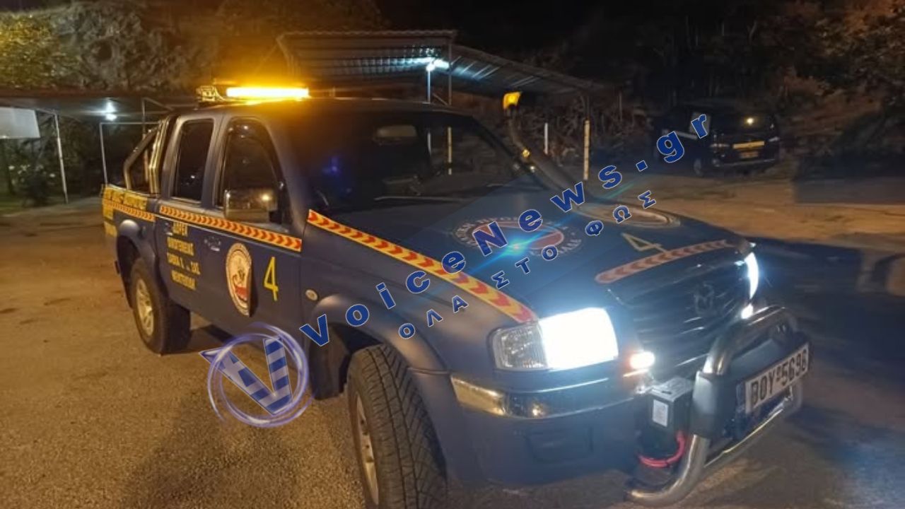 Αγριογούρουνα κυνηγούσαν νεαρούς στη Γορίτσα – Προσπάθησαν να ανέβουν σε βράχο για να σωθούν