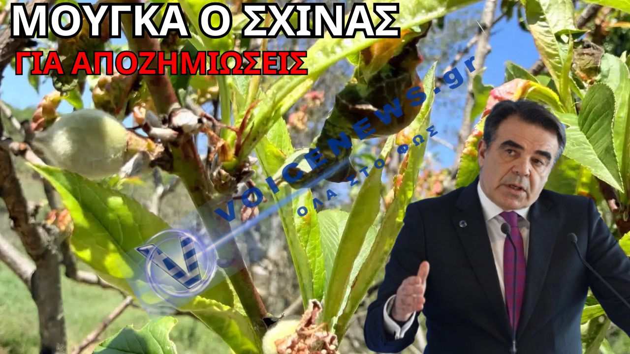 ΠΑΓΕΤΟΣ ΠΡΩΤΟΜΑΓΙΑΣ: << KAMENH ΓΗ>> ΣΕ ΑΡΚΑΔΙΑ-ΘΕΣΣΑΛΙΑ-ΚΑΣΤΟΡΙΑ-KOZANH