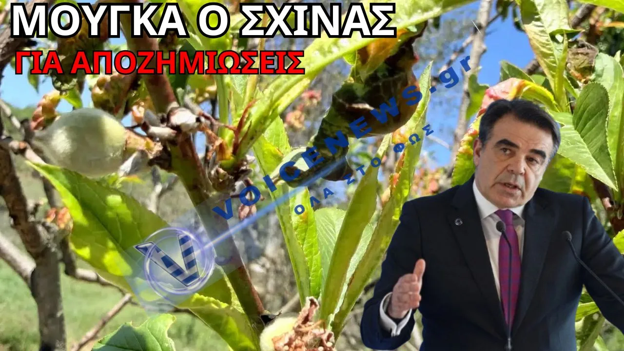 ΠΑΓΕΤΟΣ ΠΡΩΤΟΜΑΓΙΑΣ: << KAMENH ΓΗ>> ΣΕ ΑΡΚΑΔΙΑ-ΘΕΣΣΑΛΙΑ-ΚΑΣΤΟΡΙΑ-KOZANH
