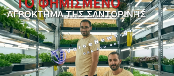 ΔΕΙΤΕ ΤΟ ΑΓΡΟΚΤΗΜΑ ΤΗΣ ΣΑΝΤΟΡΙΝΗΣ ΠΟΥ ΤΡΟΦΟΔΟΤΕΙ 120 ΕΣΤΙΑΤΟΡΙΑ ΣΤΟ ΝΗΣΙ