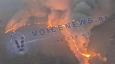 Πύρινη κόλαση στη Φλόριντα: Στάχτη πάνω από 20.000 τ.χλμ. δασικής έκτασης