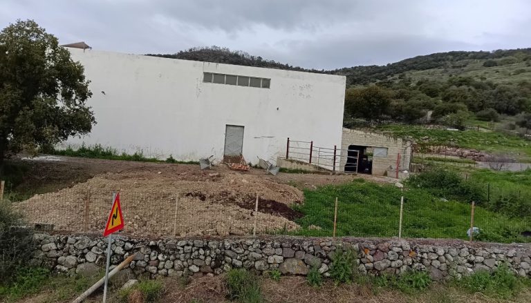 Υγειονομική «βόμβα» στη Λέσβο: Καταγγελίες για πρόχειρες ταφές ζώων και κρατική αδράνεια