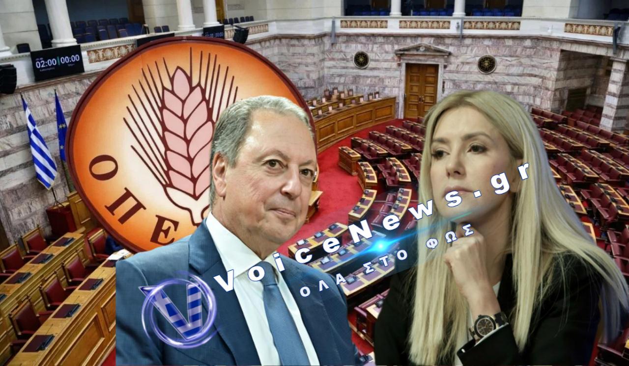 Απορρίφθηκαν οι προτάσεις για Προανακριτική σε Λιβανό και Αραμπατζή για την υπόθεση ΟΠΕΚΕΠΕ