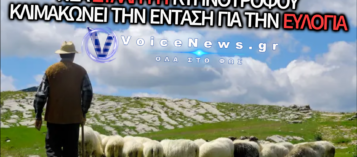 ΑΛΛΗ ΜΙΑ ΣΥΛΛΗΨΗ ΚΤΗΝΟΤΡΟΦΟΥ ΕΠΕΙΔΗ ΒΟΣΚΟΥΣΕ ΤΑ ΠΡΟΒΑΤΑ