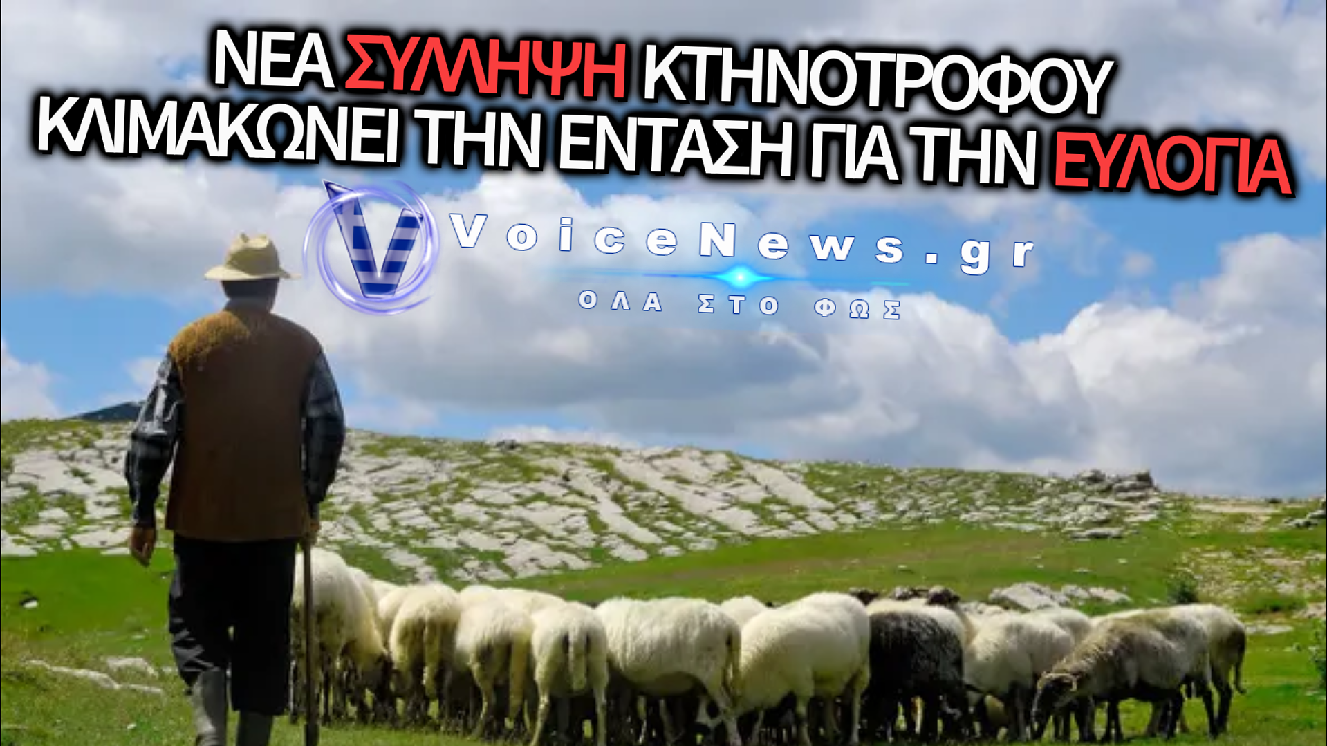 ΑΛΛΗ ΜΙΑ ΣΥΛΛΗΨΗ ΚΤΗΝΟΤΡΟΦΟΥ ΕΠΕΙΔΗ ΒΟΣΚΟΥΣΕ ΤΑ ΠΡΟΒΑΤΑ