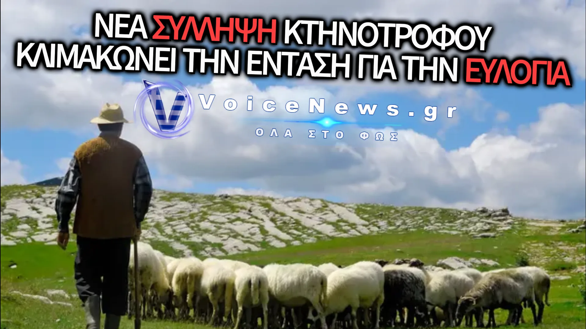 ΑΛΛΗ ΜΙΑ ΣΥΛΛΗΨΗ ΚΤΗΝΟΤΡΟΦΟΥ ΕΠΕΙΔΗ ΒΟΣΚΟΥΣΕ ΤΑ ΠΡΟΒΑΤΑ