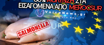 ΕΓΚΛΗΜΑΤΙΚΕΣ ΕΥΘΥΝΕΣ ΚΥΒΕΡΝΗΣΗΣ ΓΙΑ MERCOSUR: ΑΠΟ ΤΗΝ ΑΔΙΑΦΟΡΙΑ ΣΤΟ ΥΓΕΙΟΝΟΜΙΚΟ ΣΚΑΝΔΑΛΟ
