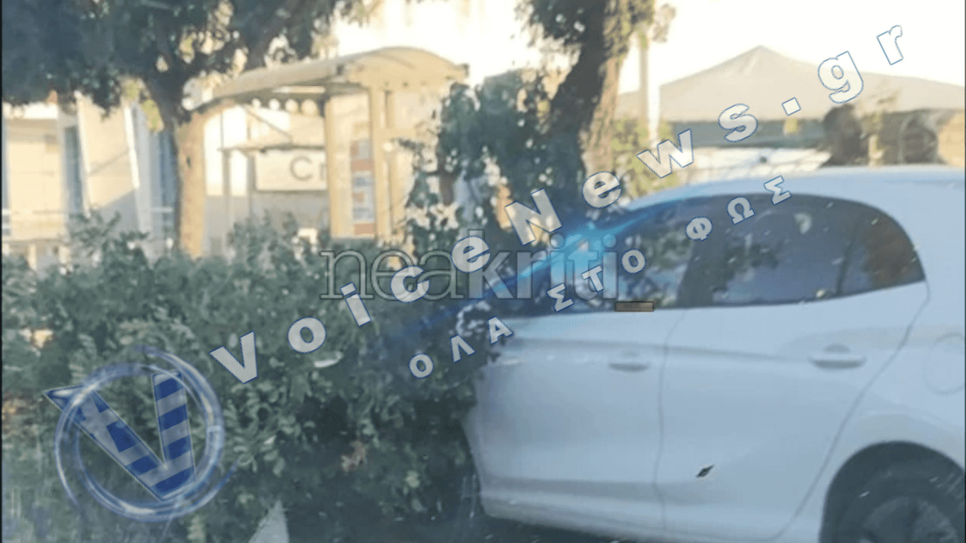 Ηράκλειο: Πτώση δέντρου στη Λεωφόρο Κνωσού λόγω ισχυρών ανέμων – Υλικές ζημιές σε παρκαρισμένο όχημα