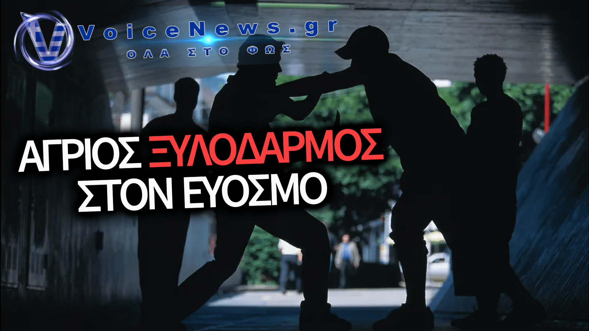 ΣΟΚ ΣΤΗ ΘΕΣΣΑΛΟΝΙΚΗ: ΟΜΑΔΙΚΗ ΕΠΙΘΕΣΗ ΚΑΙ ΑΓΡΙΟΣ ΞΥΛΟΔΑΡΜΟΣ 22ΧΡΟΝΟΥ ΣΤΟΝ ΕΥΟΣΜΟ