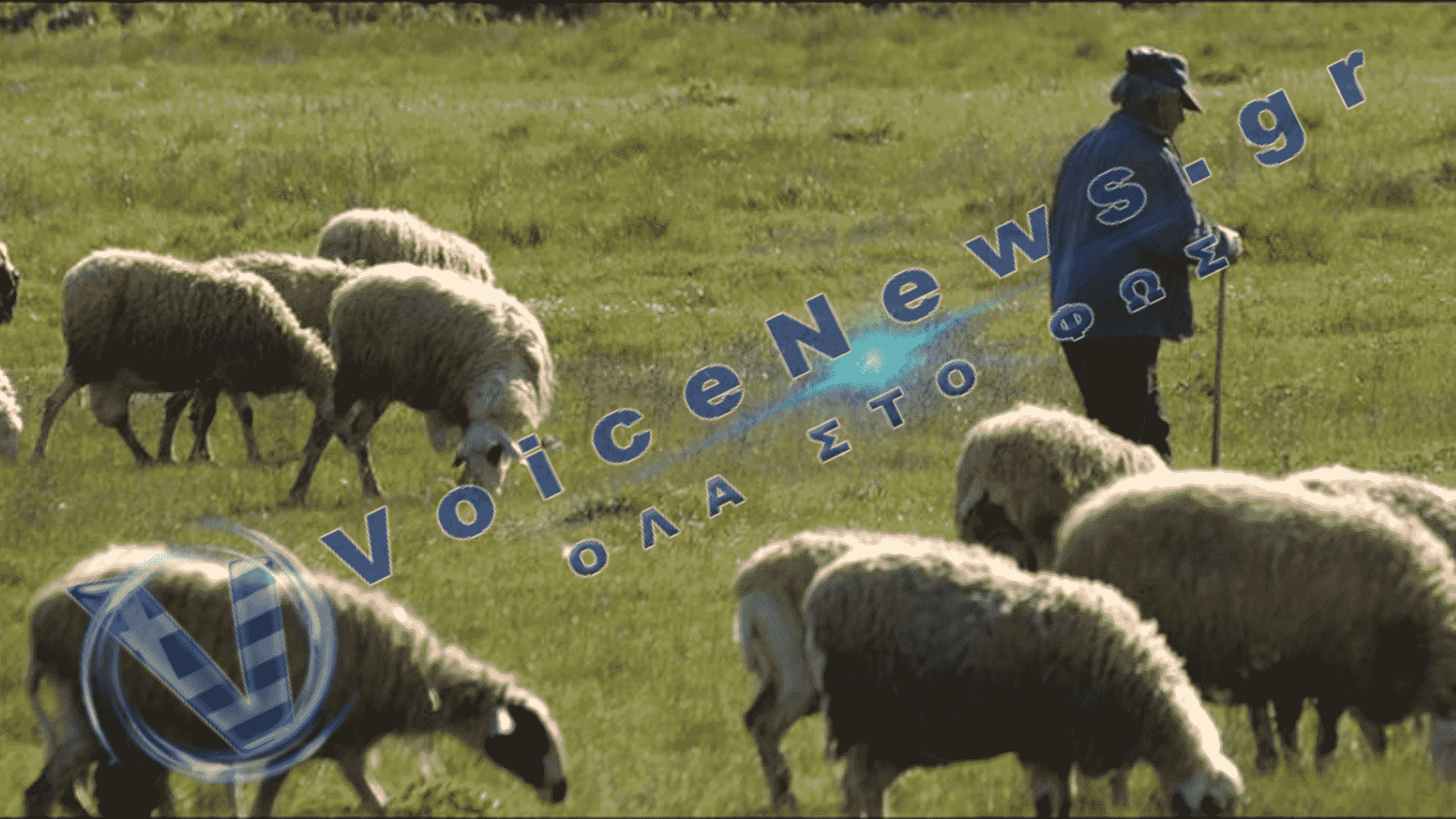 Κίνα: Η «απόδραση» από την πόλη έγινε viral — 700 βιογραφικά για δύο θέσεις βοσκών στη Μογγολία