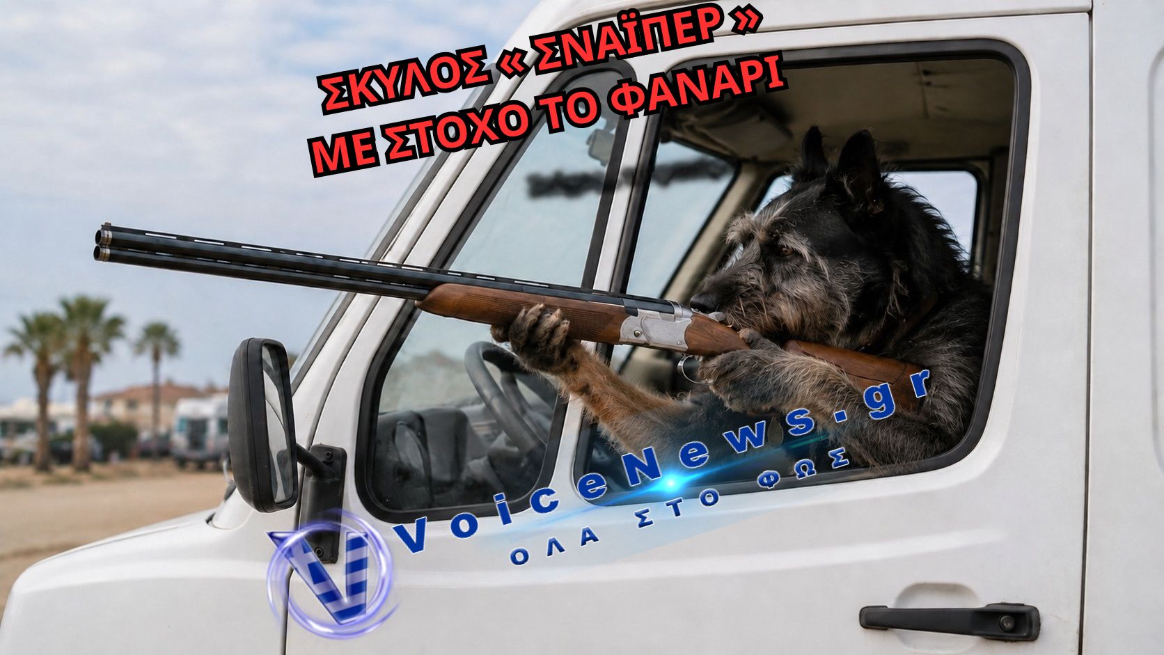 Απίστευτο περιστατικό στις ΗΠΑ – Σκύλος πυροδότησε καραμπίνα και τραυμάτισε γυναίκα