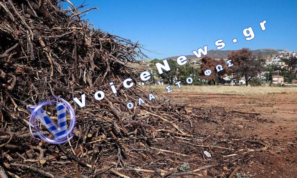 Αναμένεται παράταση στις δηλώσεις για τα ακαθάριστα οικόπεδα