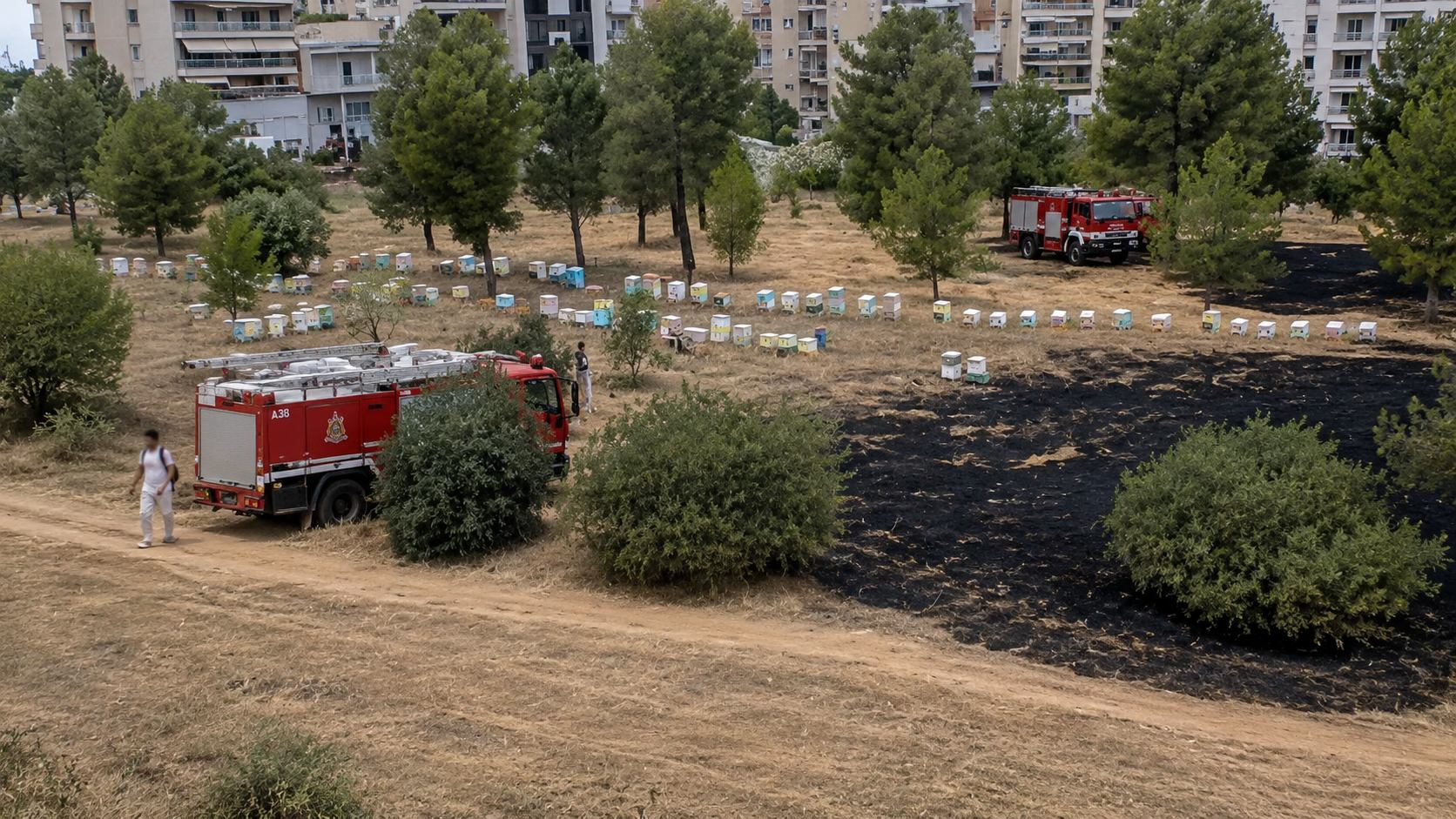 Το Βίντεο που Οδήγησε στη Σύλληψη Μελισσοκόμου για τη Φωτιά στο Άλσος Βεΐκου