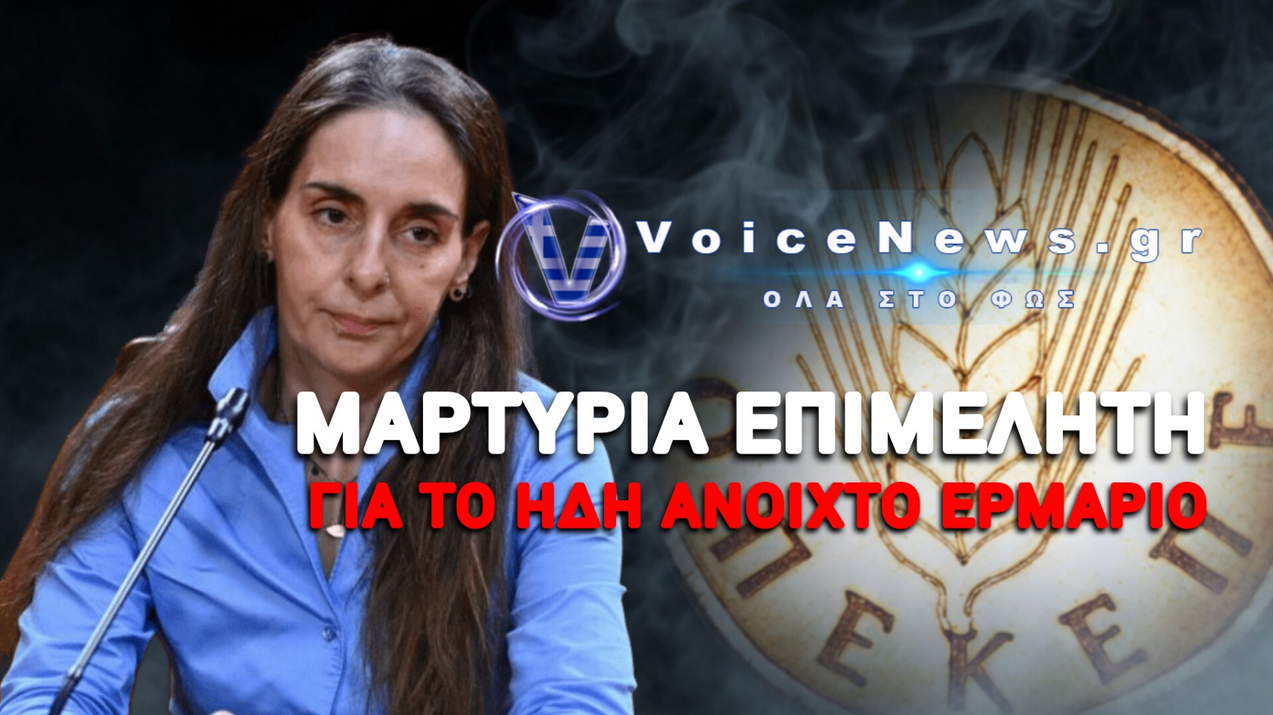 «Βόμβες» Μεγατόνων Από Τυχεροπούλου – «Στήνουν Νέα Επιχείρηση Σπίλωσης Και Κατασκευάζουν Στοιχεία Σε Βάρος Μου»!