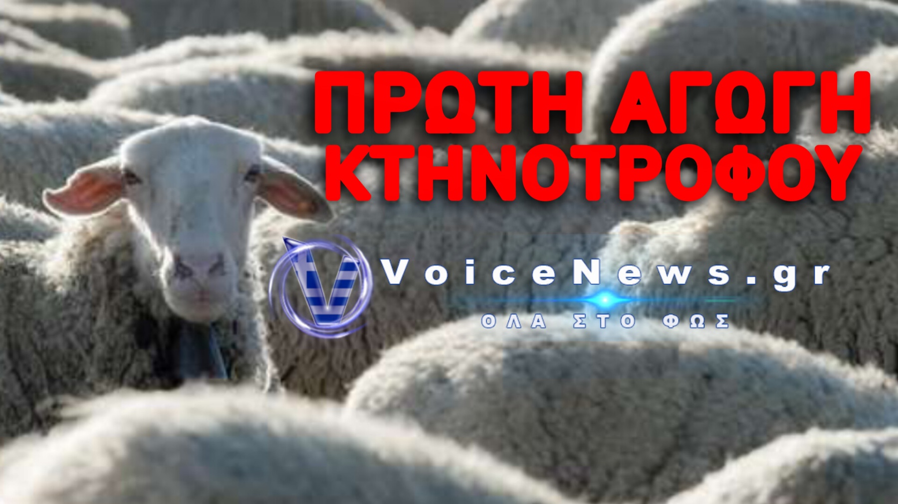 ΝΑ ΑΡΧΙΣΟΥΝ ΟΙ…  ΜΑΖΙΚΕΣ ΑΓΩΓΕΣ ΕΝΑΝΤΙΑ ΣΤΟ ΚΡΑΤΟΣ ΓΙΑ ΤΗΝ ΑΠΟΛΥΤΗ ΚΑΤΑΣΤΡΟΦΗ ΤΗΣ ΠΑΡΑΓΩΓΗΣ!