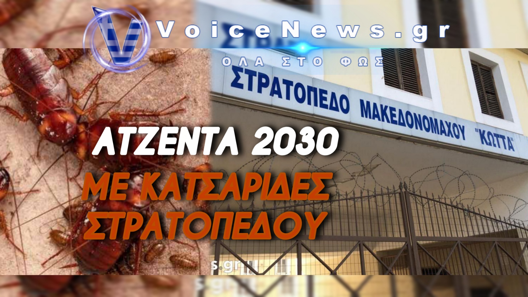 ΑΠΟΙΚΙΕΣ ΚΑΤΣΑΡΙΔΩΝ «ΚΑΤΑΚΤΟΥΝ» ΤΟ ΣΤΡΑΤΟΠΕΔΟ ΜΑΚΕΔΟΝΟΜΑΧΟΥ ΚΩΤΤΑ