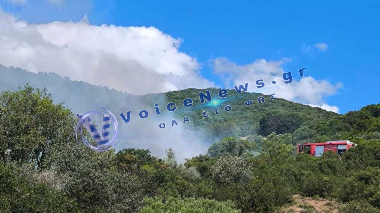 Φωτιά τώρα στο Μέγα Δένδρο Θέρμου – Μεγάλη κινητοποίηση της πυροσβεστικής