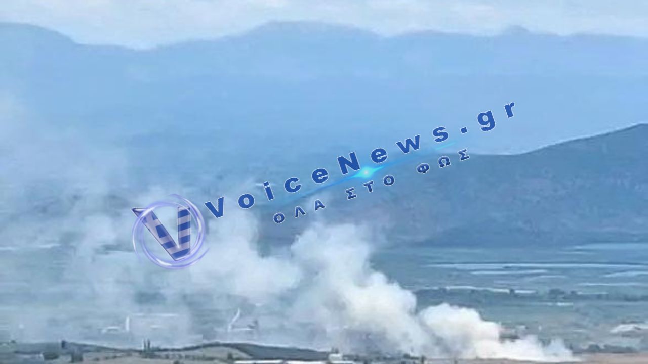 Πυρκαγιά σε αγροτική έκταση απειλεί ελαιώνες – Δυσκολίες στην κατάσβεση λόγω ισχυρών ανέμων